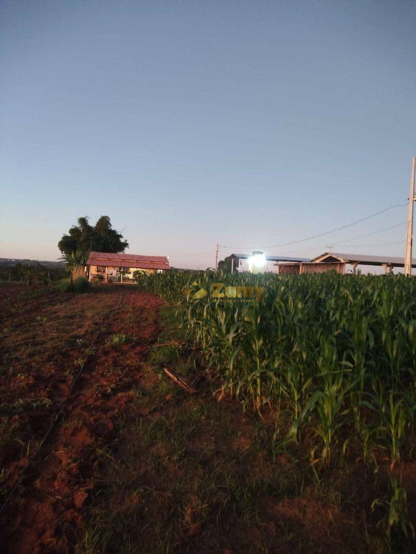 Chácara à venda com 2 quartos, 30000M2 - Foto 6