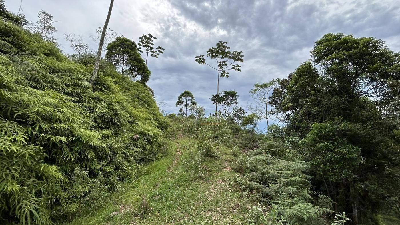 Terreno, 9 hectares - Foto 21