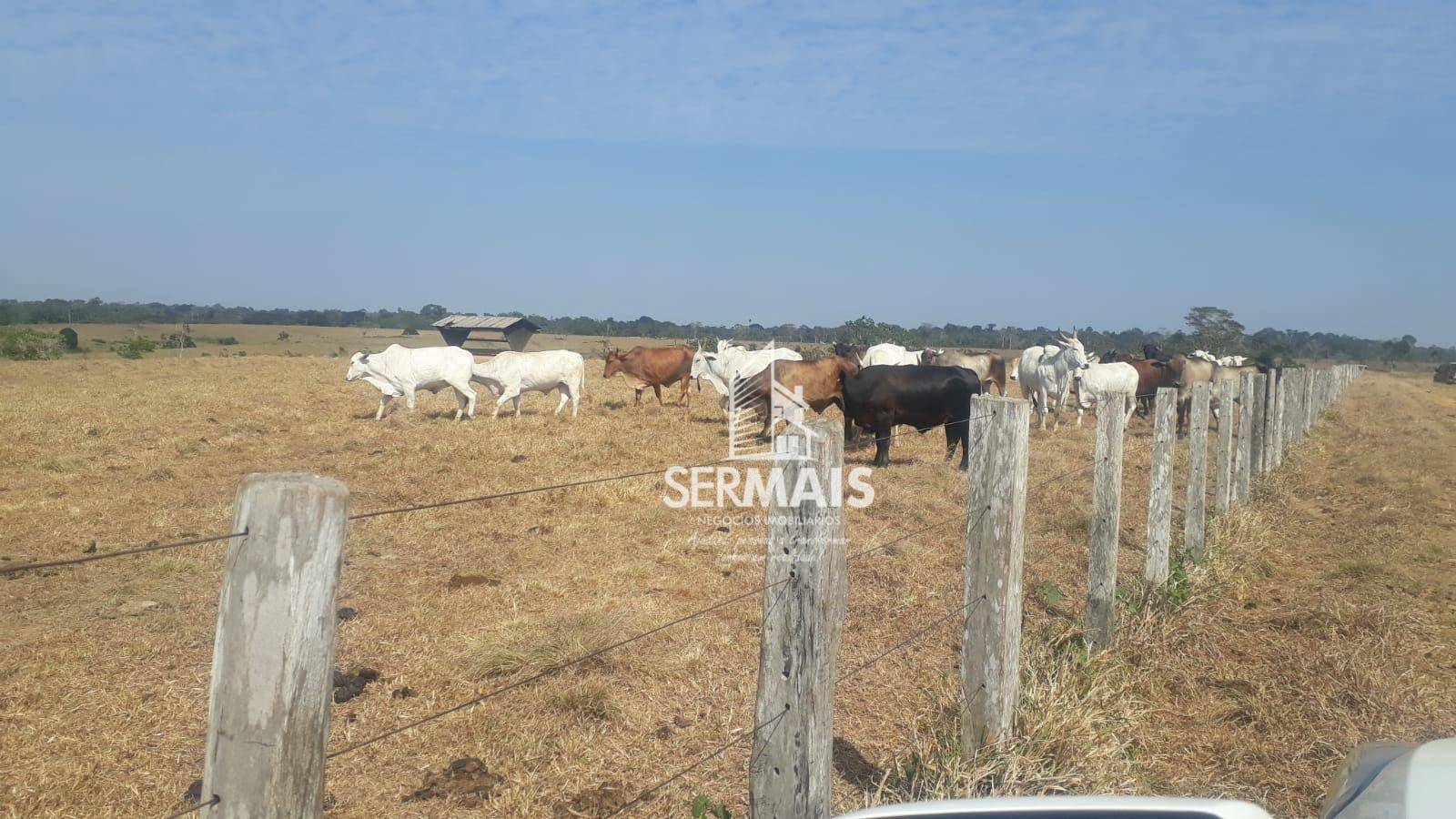 Fazenda à venda, 157650000M2 - Foto 1