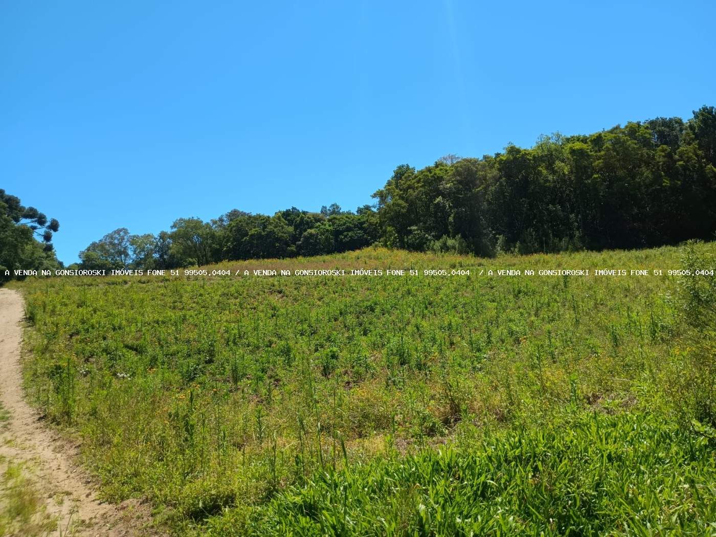 Sítio, 9 m² - Foto 16