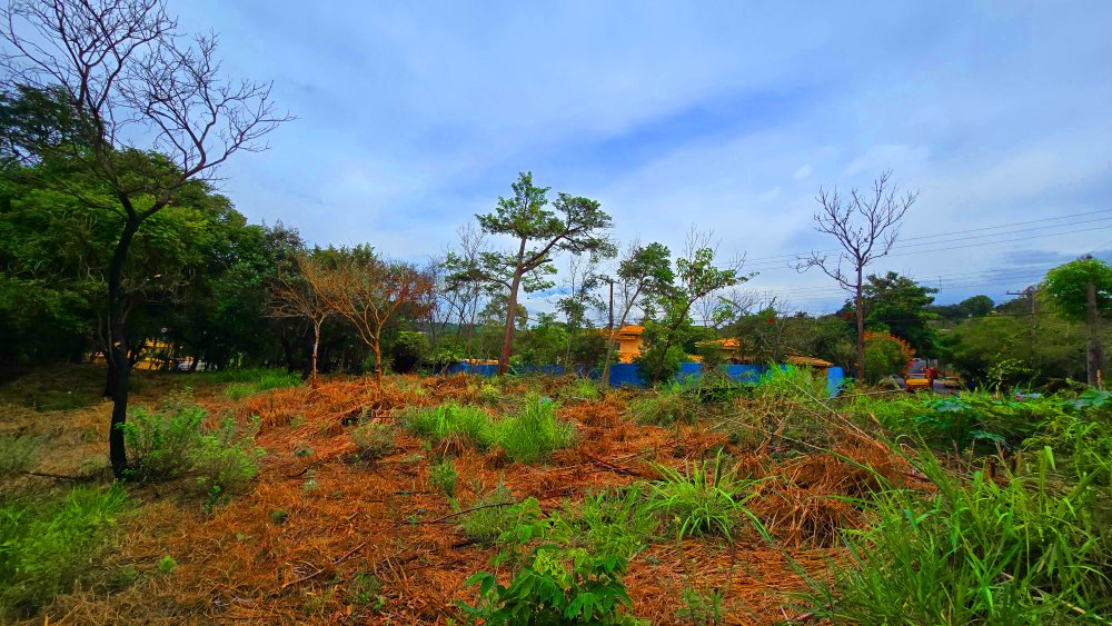 Terreno à venda, 2855m² - Foto 30