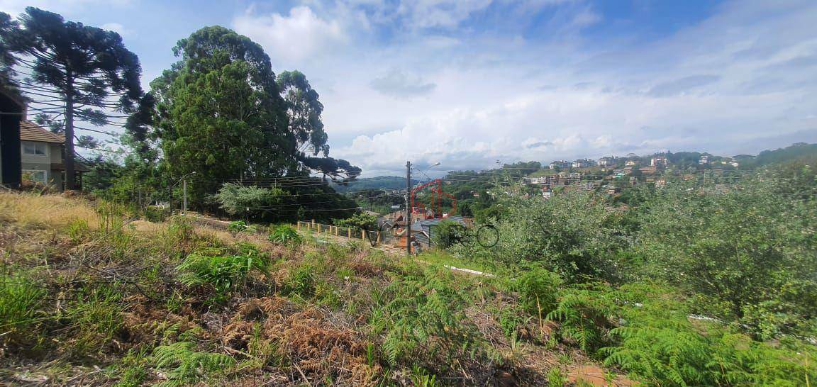 Loteamento e Condomínio à venda, 600M2 - Foto 8