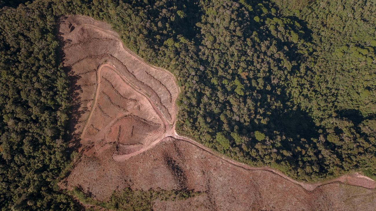 Terreno à venda, 1000m² - Foto 25