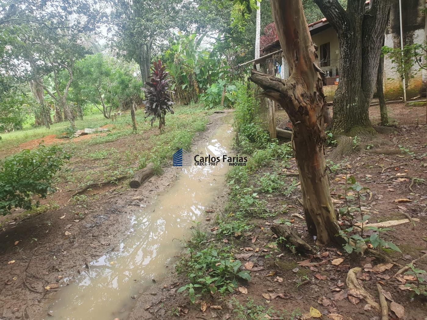 Fazenda à venda com 4 quartos, 300m² - Foto 37