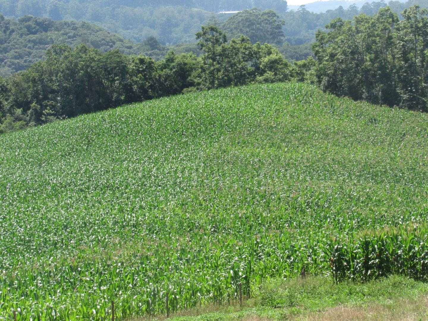 Loteamento e Condomínio à venda, 90000m² - Foto 14