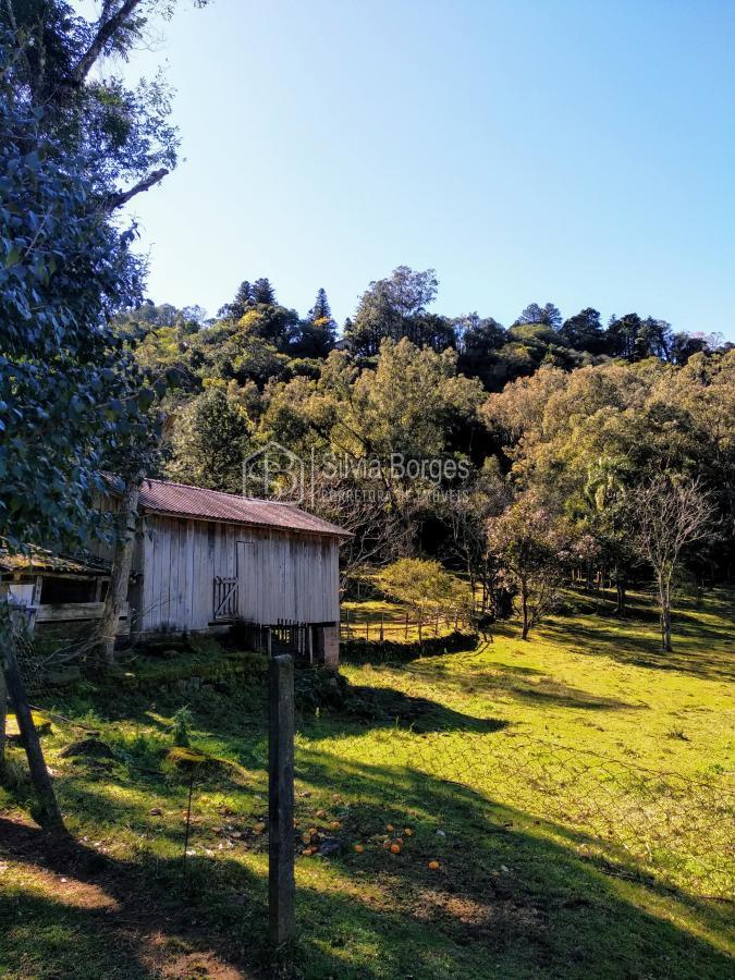 Fazenda à venda, 6900m² - Foto 36