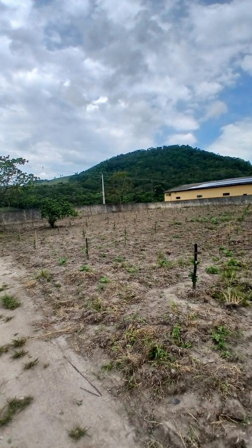 Fazenda à venda com 2 quartos, 31000m² - Foto 5