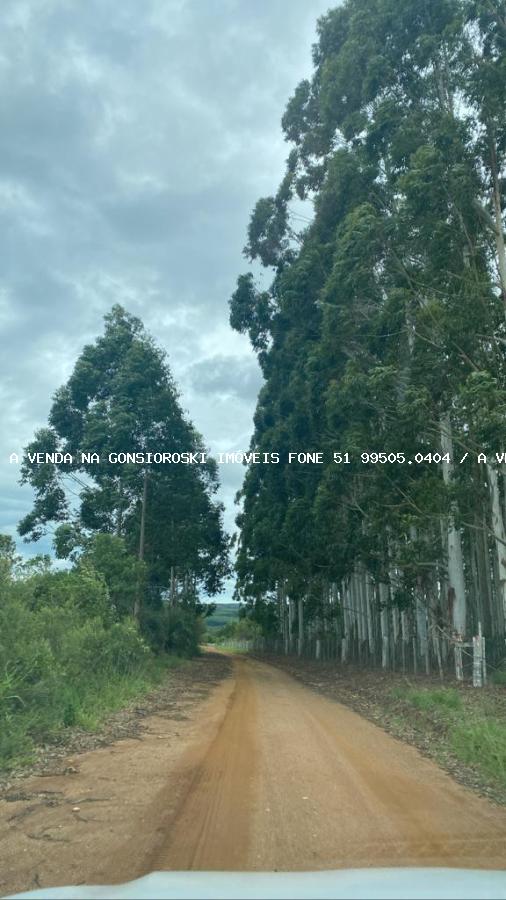 Sítio à venda com 3 quartos, 40000m² - Foto 29