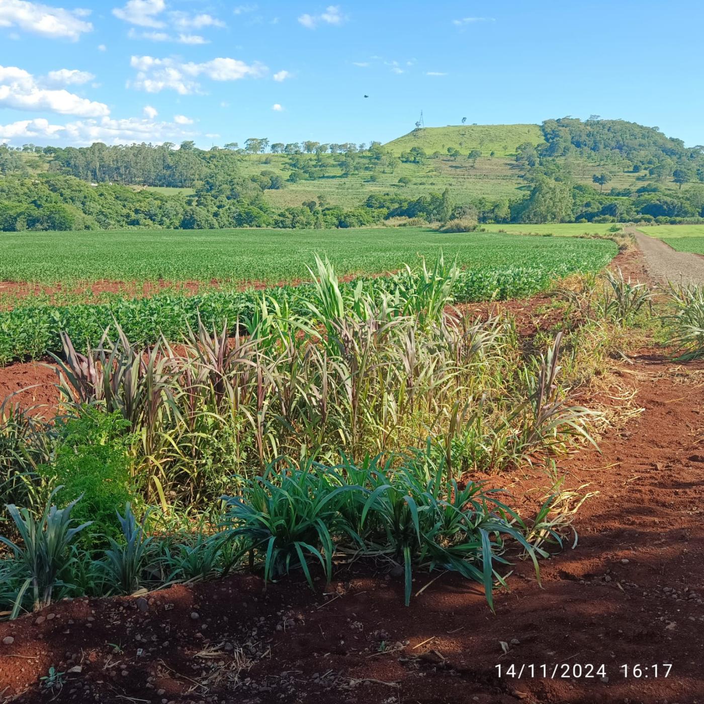 Fazenda à venda, 81160m² - Foto 2