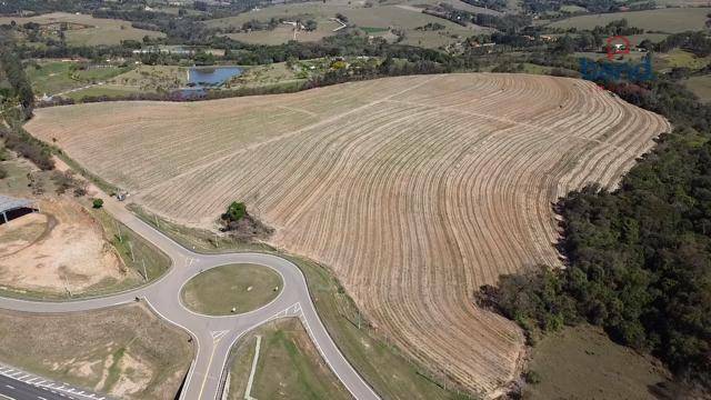 Terreno à venda, 242000M2 - Foto 1