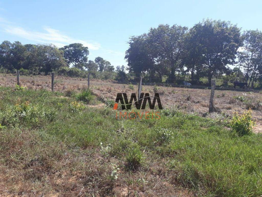 Fazenda à venda, 31060000M2 - Foto 23