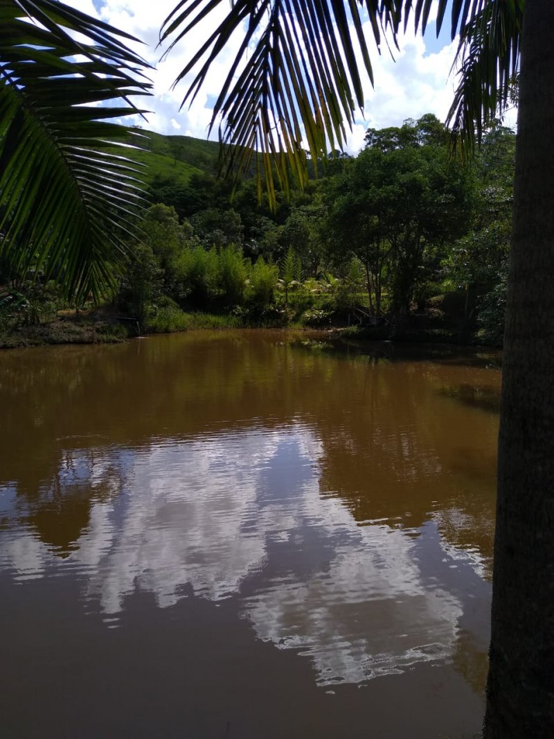 Fazenda à venda com 2 quartos, 120m² - Foto 15