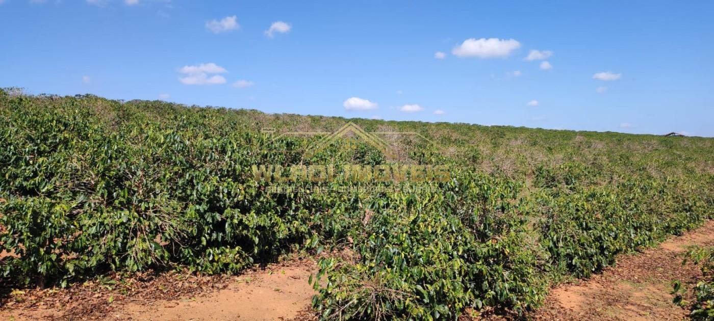 Sítio, 10 m² - Foto 22