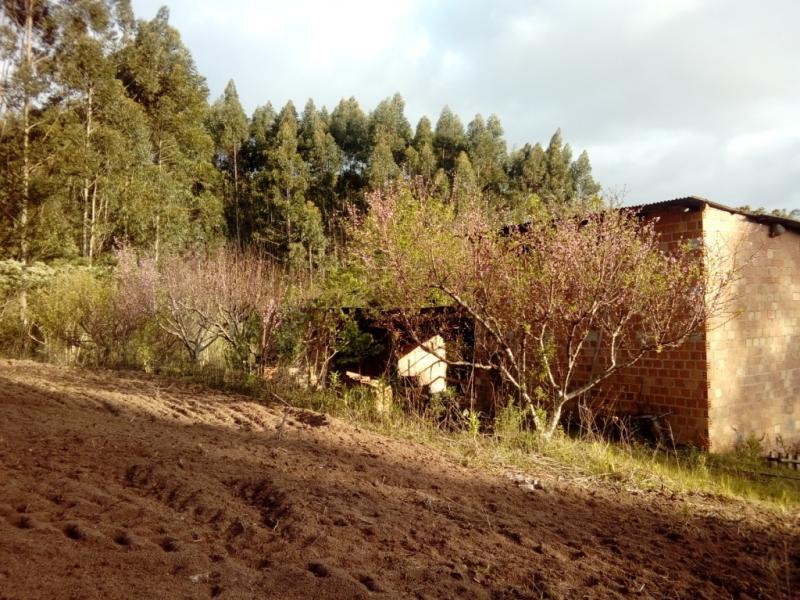 Sítio à venda com 1 quarto, 30000m² - Foto 5