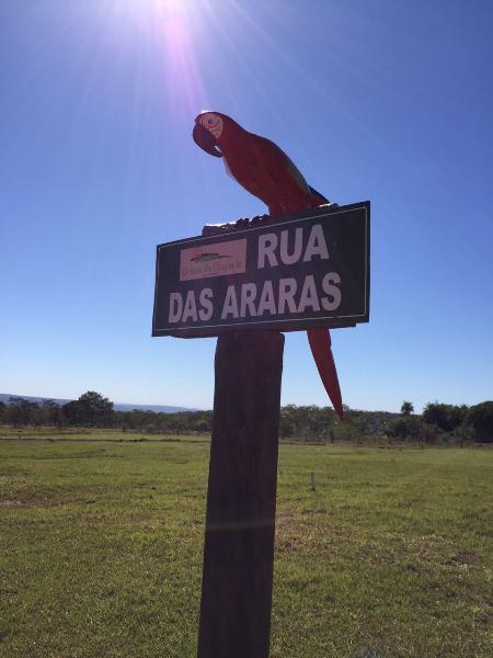 Terreno à venda - Foto 4