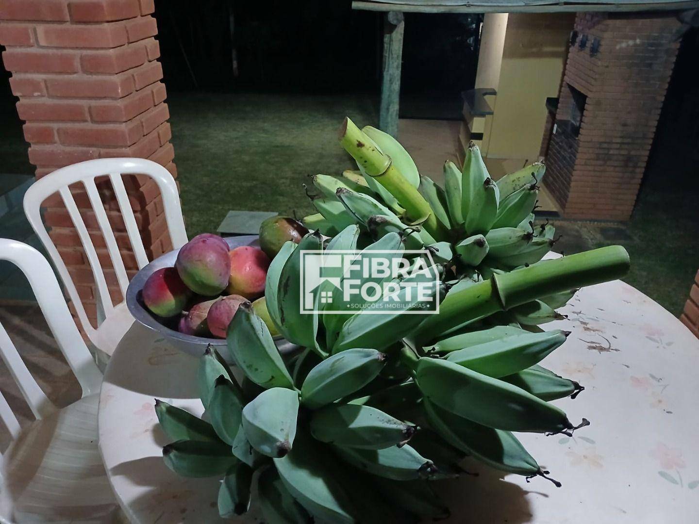 Chácara à venda com 2 quartos, 220m² - Foto 48