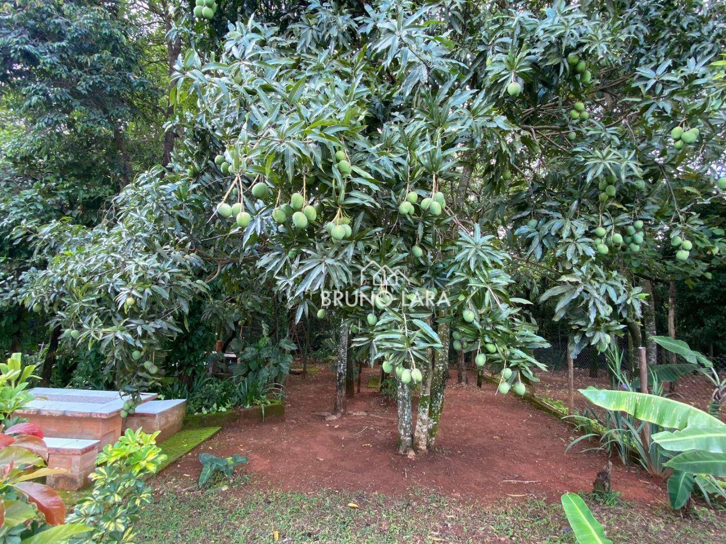 Sítio, 7 quartos, 1000 m² - Foto 31