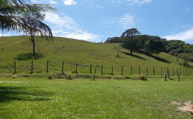 Fazenda à venda com 2 quartos, 145000m² - Foto 13