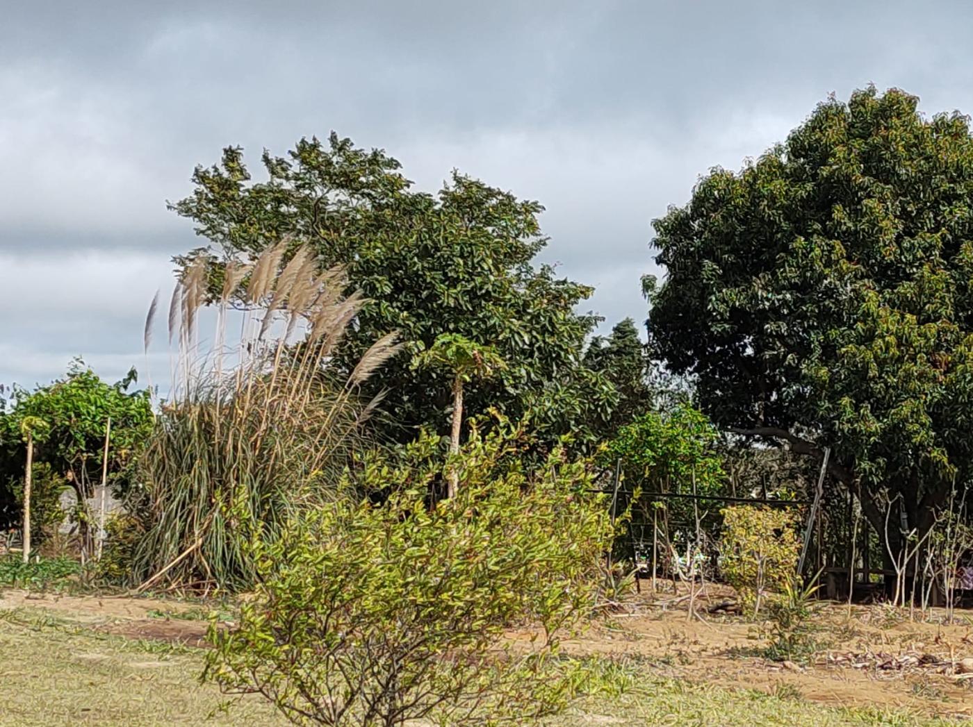 Fazenda à venda com 5 quartos, 3000m² - Foto 2