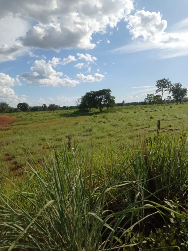 Fazenda à venda, 250m² - Foto 16