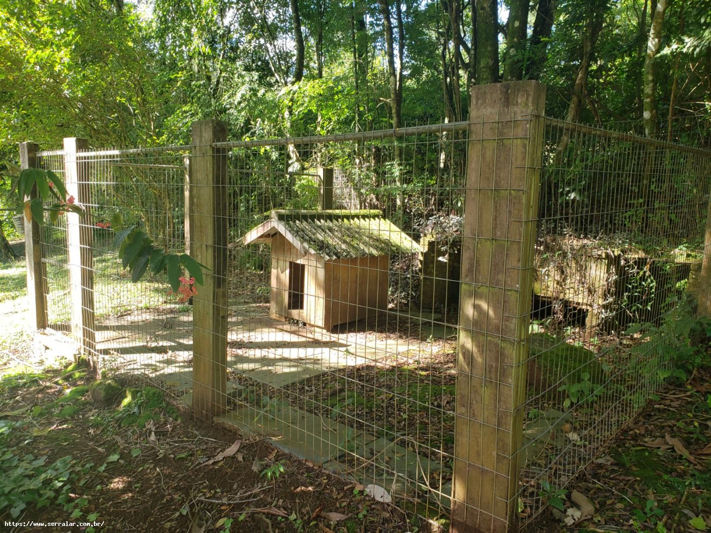 Fazenda à venda com 4 quartos, 15000m² - Foto 27