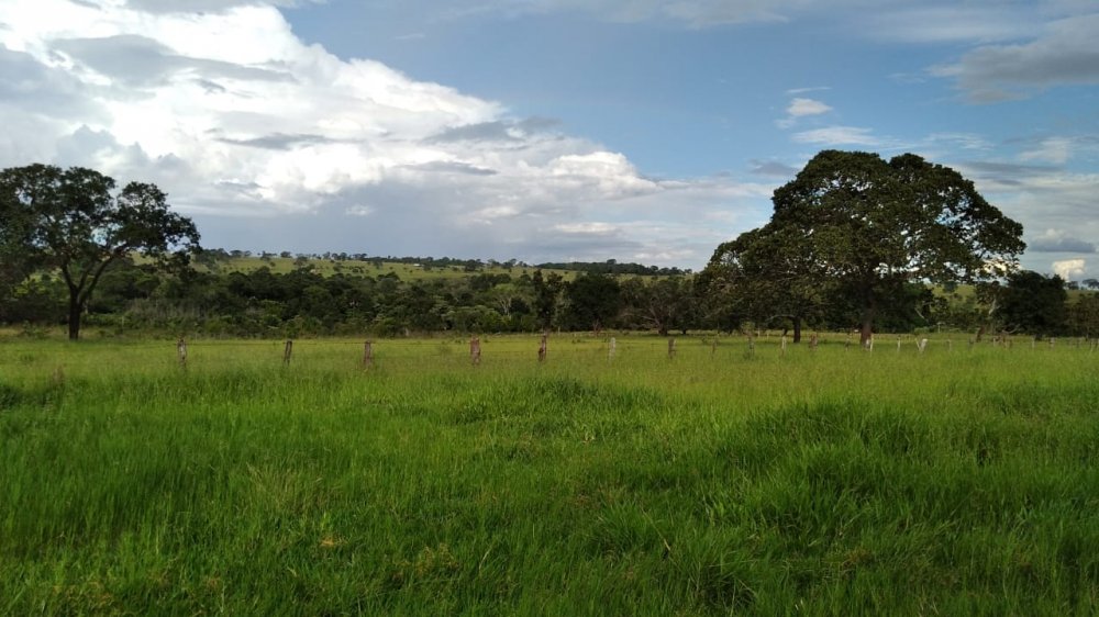 Fazenda à venda, 20m² - Foto 3