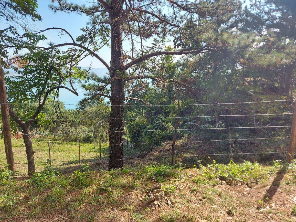 Terreno à venda, 2000M2 - Foto 6