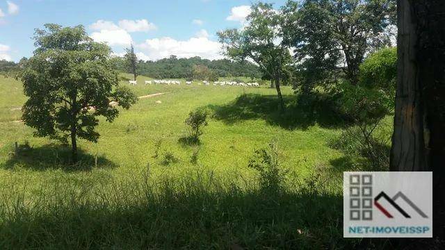 Fazenda à venda com 5 quartos, 500m² - Foto 8