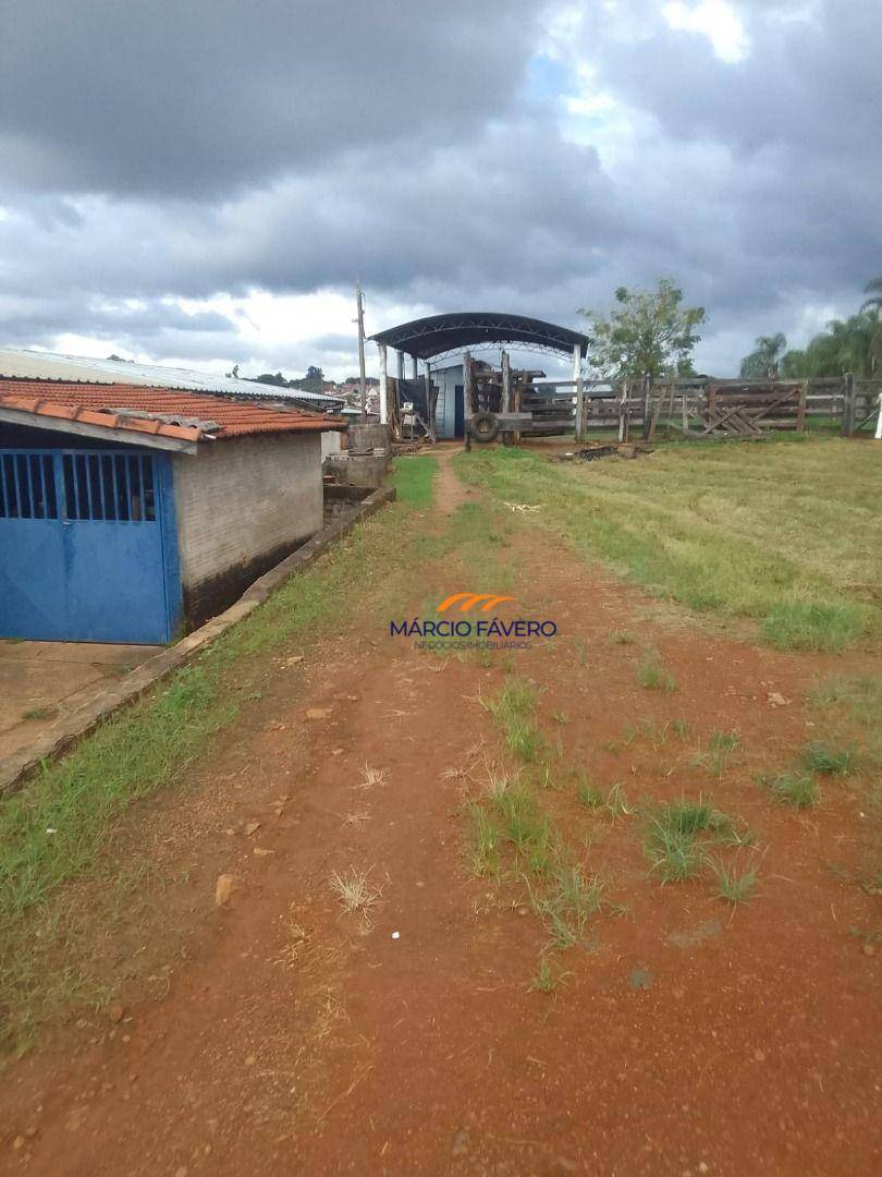 Fazenda, 102 hectares - Foto 6