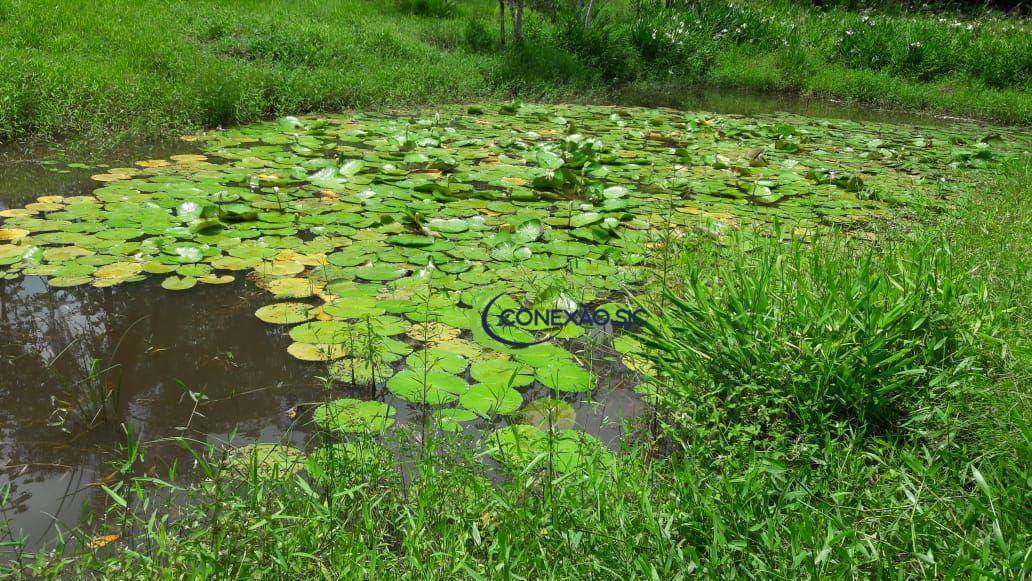 Terreno, 242 m² - Foto 1