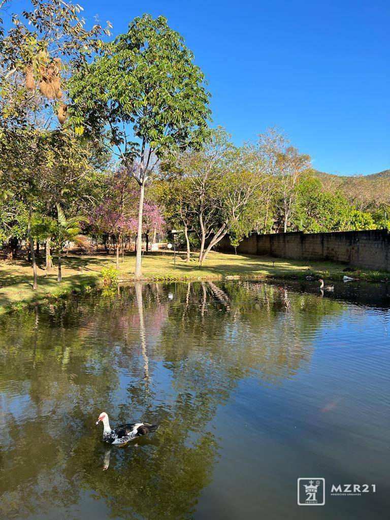 Chácara à venda com 4 quartos, 6000M2 - Foto 14