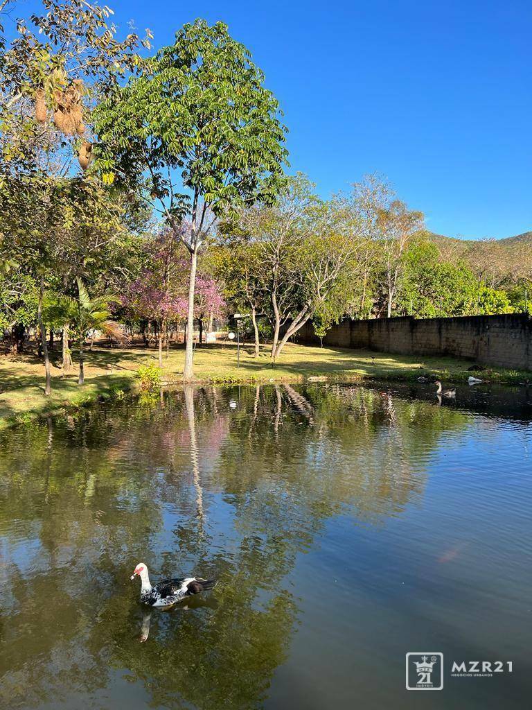 Chácara à venda com 4 quartos, 6000M2 - Foto 13