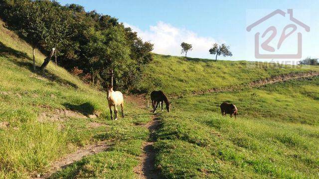 Fazenda à venda, 479160M2 - Foto 16