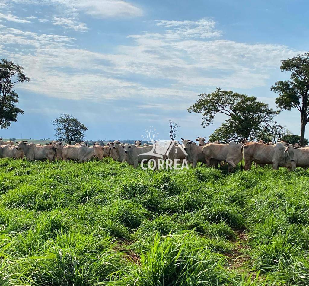 Fazenda à venda, 8293581M2 - Foto 2