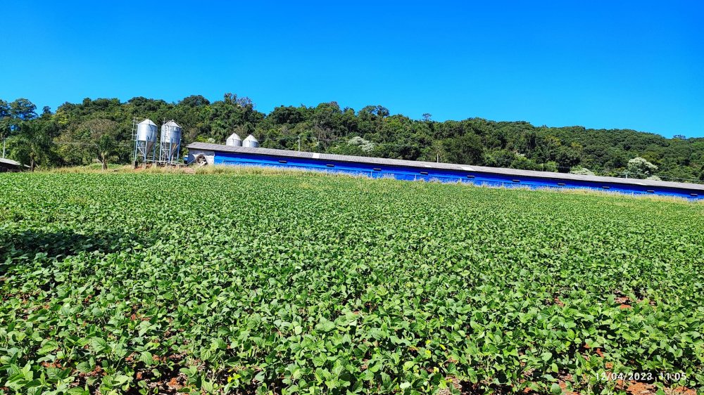 Fazenda à venda, 12m² - Foto 4