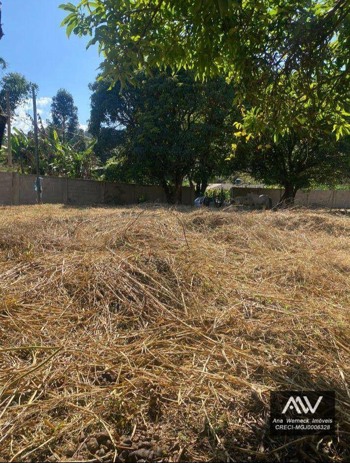 Terreno à venda, 1000M2 - Foto 6