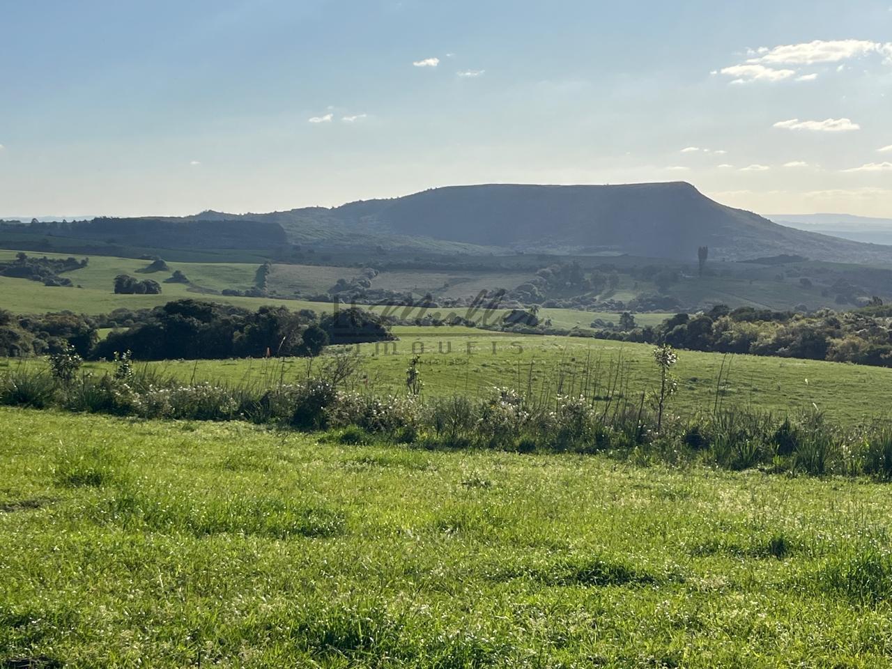 Fazenda à venda, 900m² - Foto 31