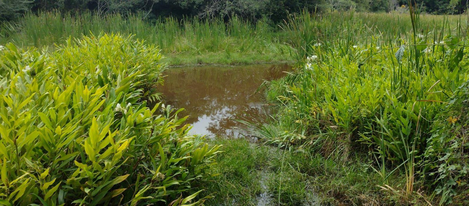 Loteamento e Condomínio à venda, 54000m² - Foto 5