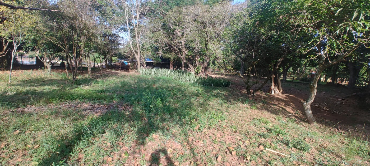 Chácara à venda com 4 quartos, 6670m² - Foto 56