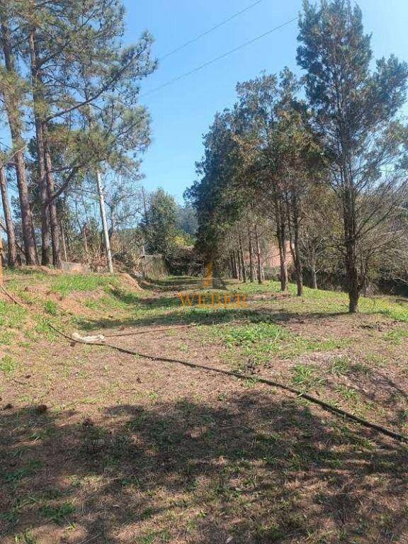 Sítio à venda com 6 quartos, 100000M2 - Foto 45