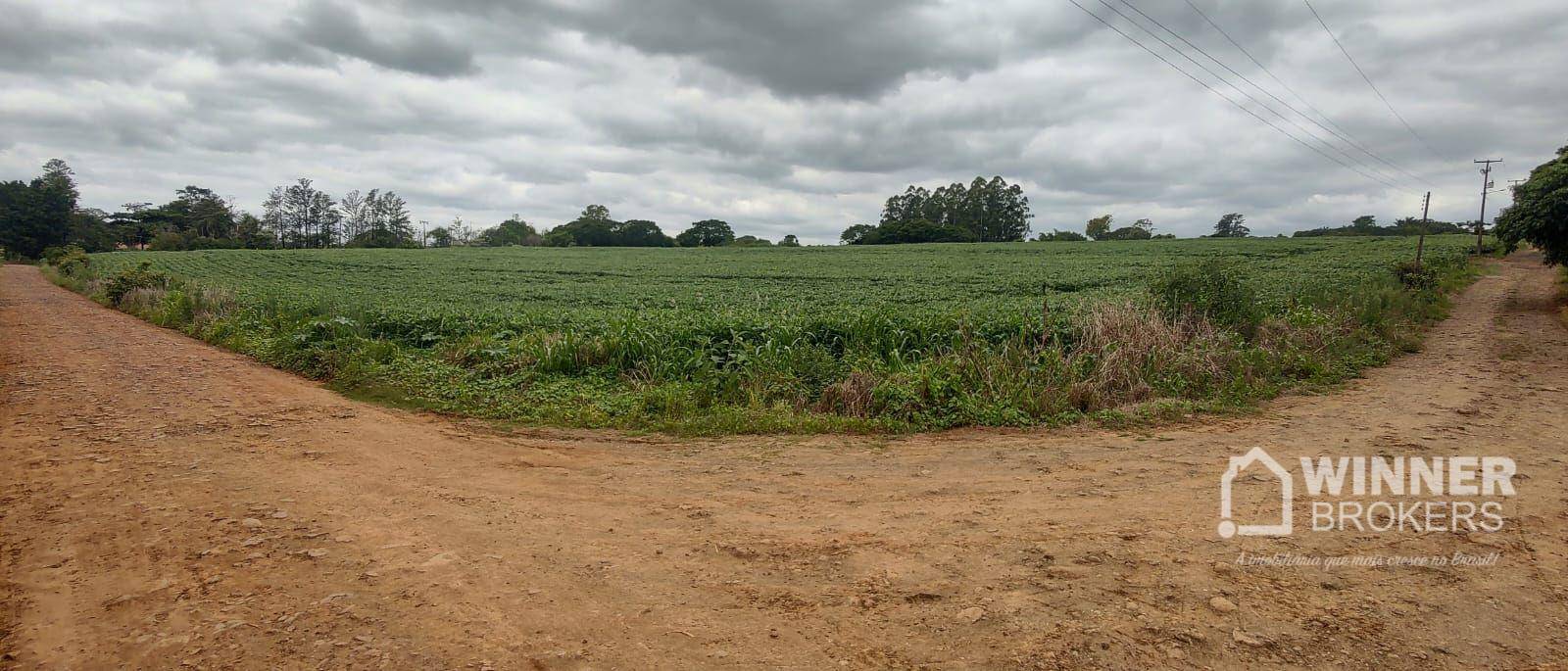 Terreno à venda, 66000M2 - Foto 5