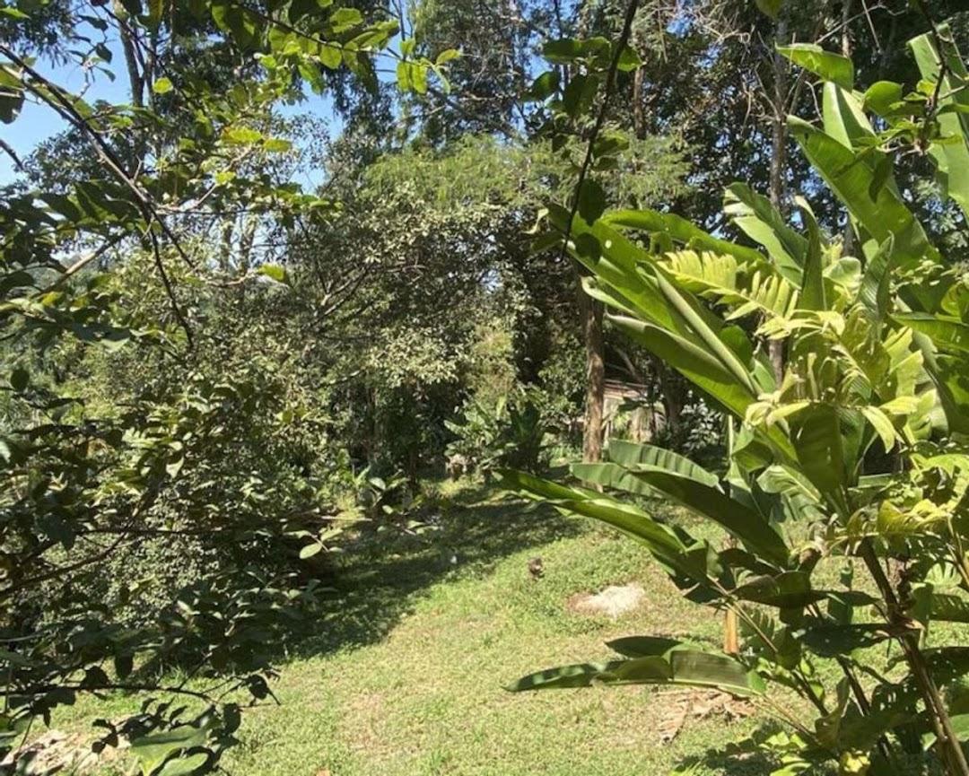 Terreno à venda - Foto 5