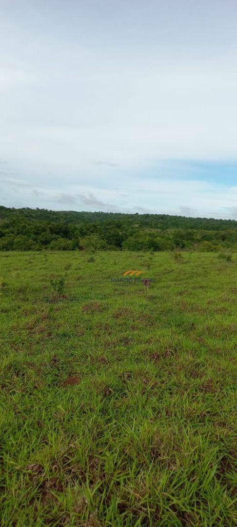 Fazenda à venda, 14110000M2 - Foto 13