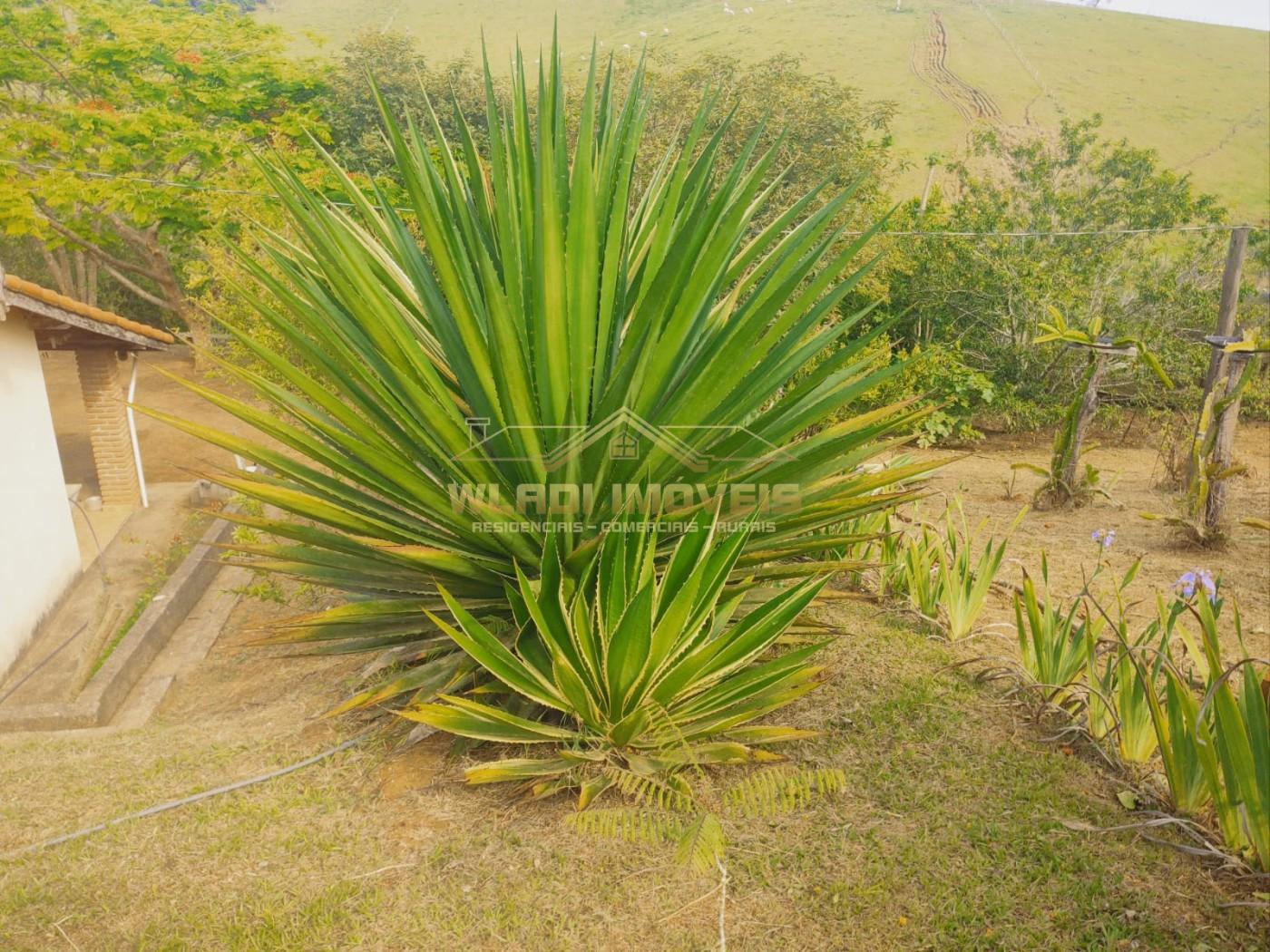 Chácara à venda, 12100m² - Foto 9