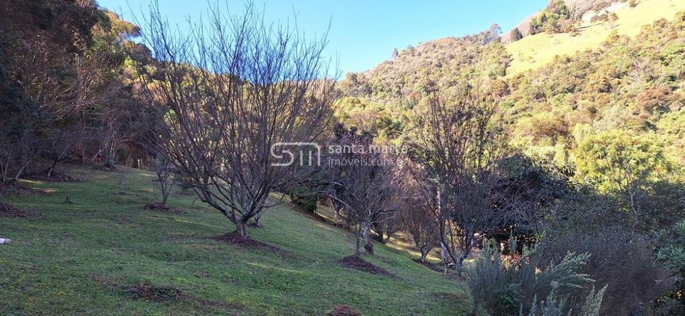 Fazenda à venda com 3 quartos, 64m² - Foto 11