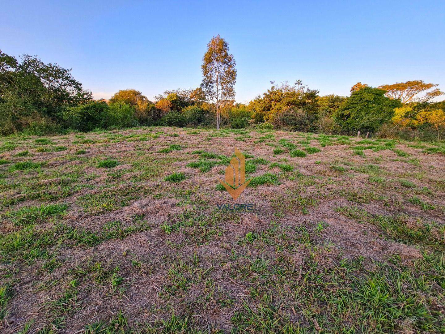 Loteamento e Condomínio à venda, 1000M2 - Foto 7