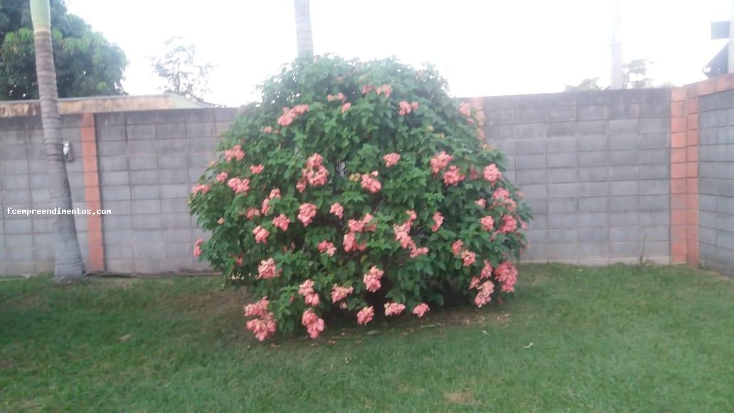 Fazenda à venda com 1 quarto, 1500m² - Foto 3