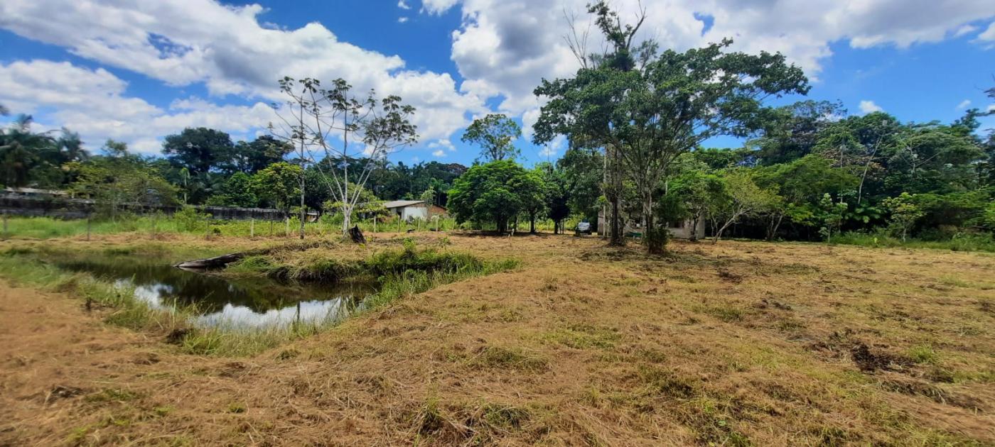 Fazenda à venda com 2 quartos, 3500m² - Foto 12