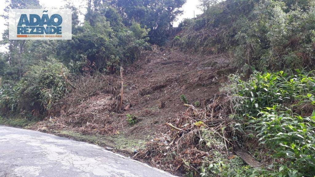 Terreno à venda, 239M2 - Foto 5