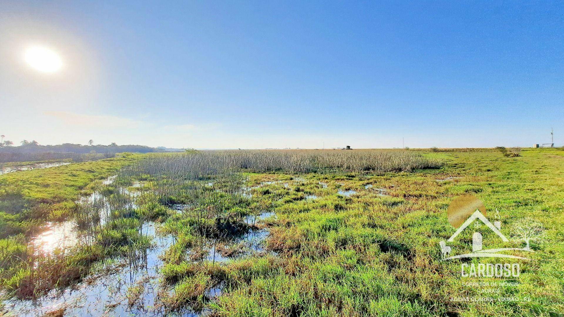 Fazenda à venda, 1830000M2 - Foto 13